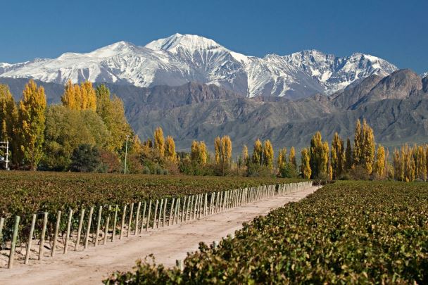 Mendoza